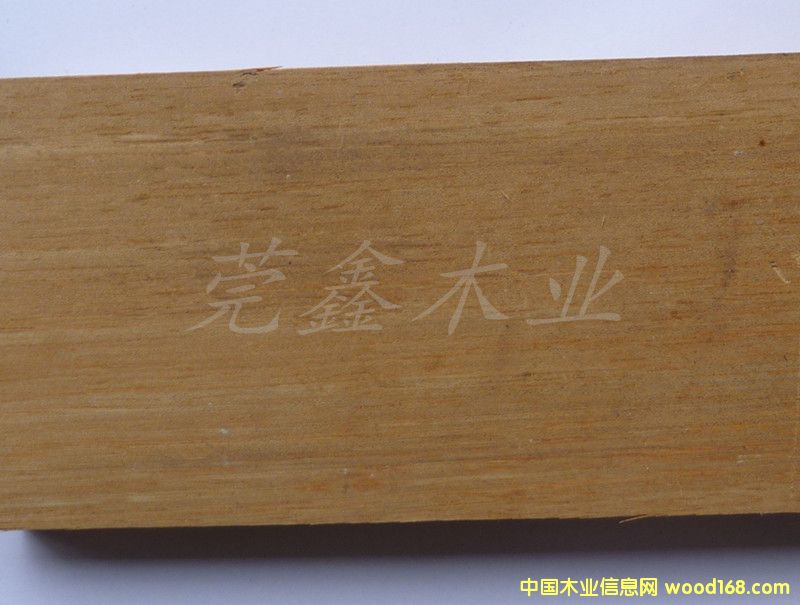 藤黃木的詳細(xì)介紹