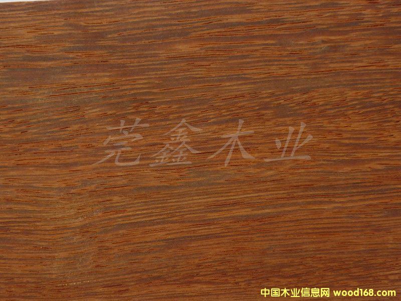 ���{(l��n)����Ԕ��(x��)��B