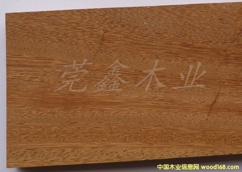 瓦泰豆的詳細(xì)介紹