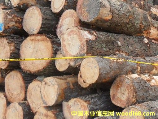 ��ľԭľ��Ԕ��(x��)��B