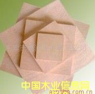 ��ľ�z�ϰ��Ԕ��(x��)��B