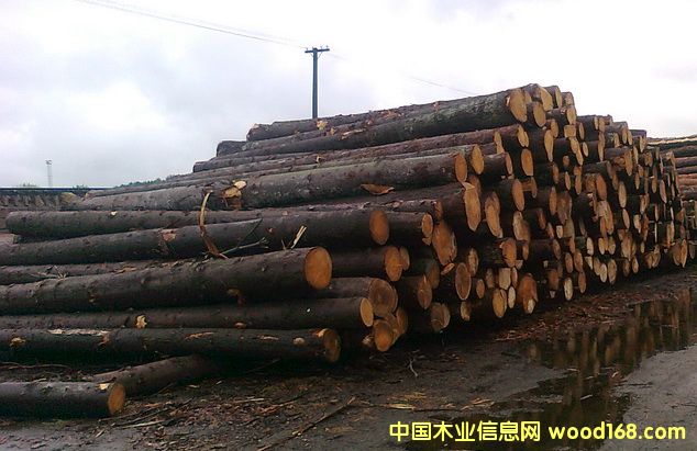 ��������ɼ��Ԕ��(x��)��B