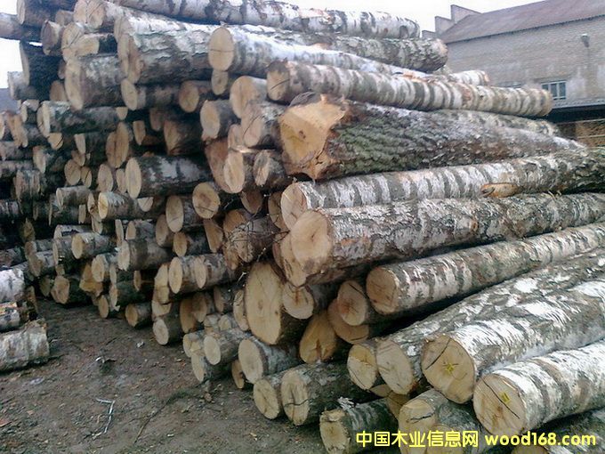 �������ľ��Ԕ��(x��)��B