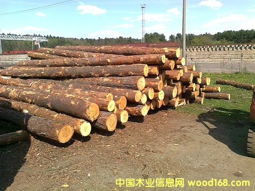 �����������ɵ�Ԕ��(x��)��B