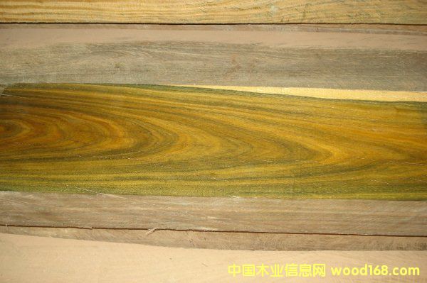 �G̴��Ԕ��(x��)��B