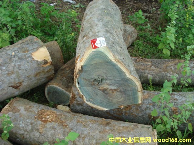 �G̴��Ԕ��(x��)��B