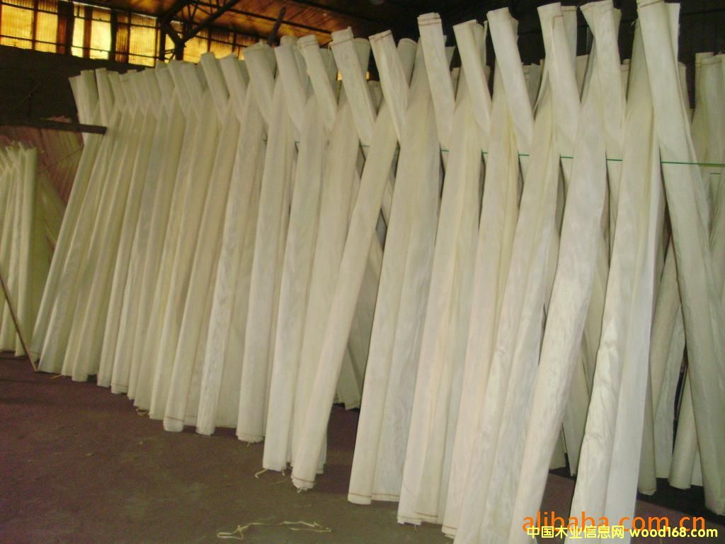 Ư�ח�ľ�ΰ���Ƥ��Ԕ��(x��)��B