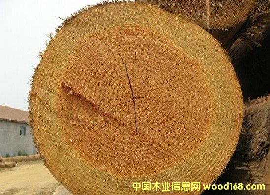 �M�ڻ����ɵ�Ԕ����B