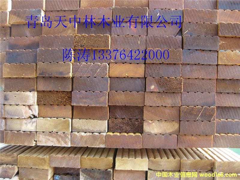 �Fɼ����ľ