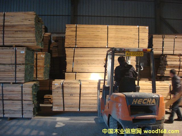 �µ��������t��ľ