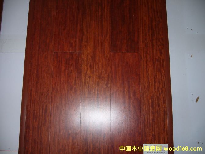 ����ľ��Ԕ��(x��)��B