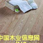 ��(sh��)ľ�ذ��Ԕ��(x��)��B