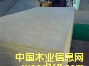 �����T�װ�