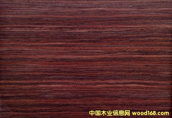 GH5100�o(w��)ȩ�ቺ�N���z��Ԕ��(x��)��B