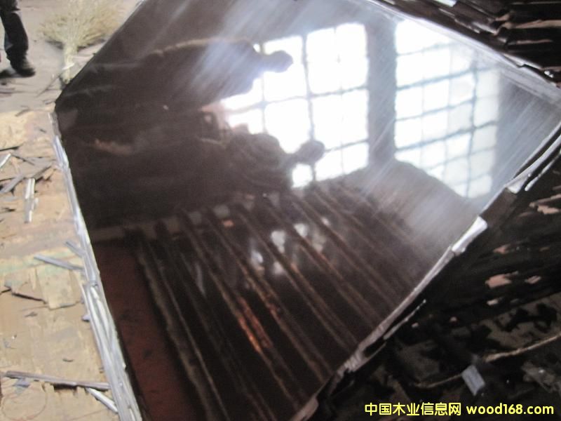 ����Ĥ���Ԕ��(x��)��B