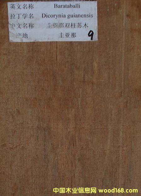 �p���Kľ--������ľ��Ԕ����B