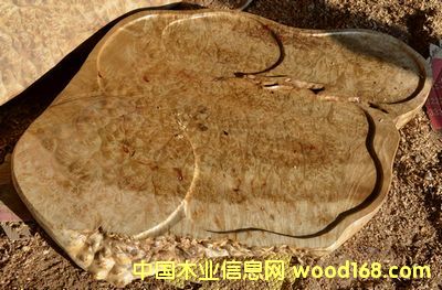 �S������P(p��n)��Ԕ��(x��)��B