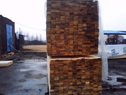 白松木方的詳細(xì)介紹