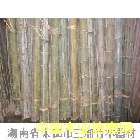 ��Ƭ��Ԕ��(x��)��B