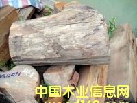 ��ľ���ϣ����^)��Ԕ��(x��)��B