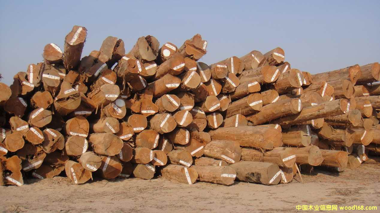 ������ľ��ԭľ��Ԕ��(x��)��B