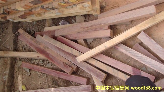 �sľ�ٹ�ĵ�Ԕ����B