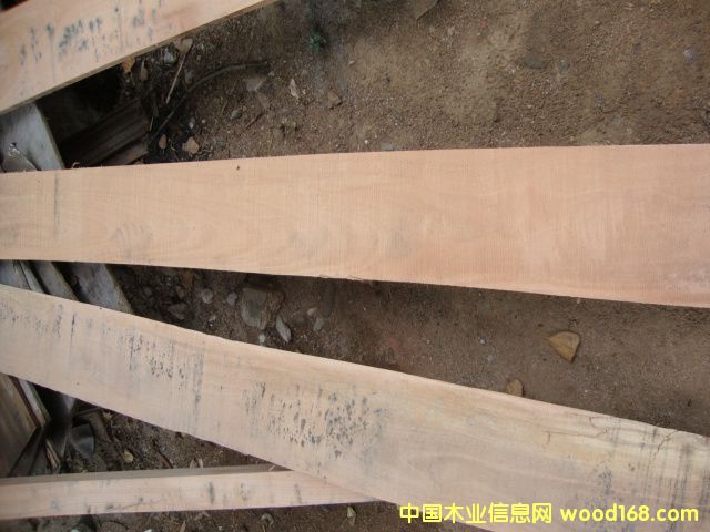 ��(y��u)�|�L�l�ٹ�ĵ�Ԕ����B