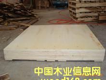 ����ľ�бP�����ڰ��b���Ԕ��(x��)��B