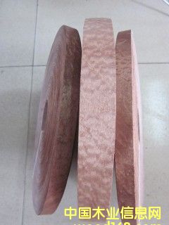 ��yɳ����ľƤ��߅�l��Ԕ��(x��)��B