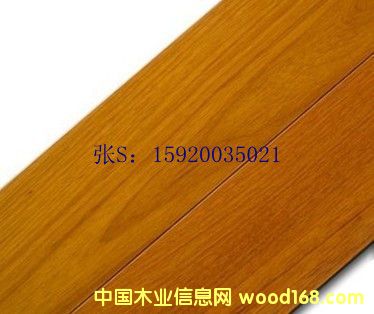 ��(sh��)ľ�ذ� �հ��� �wƤ�����Ԕ��(x��)��B