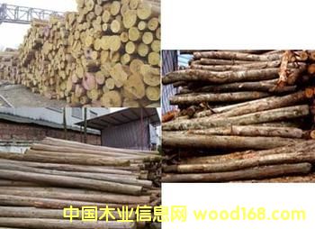 ɼľ���sľ��Ԕ��(x��)��B