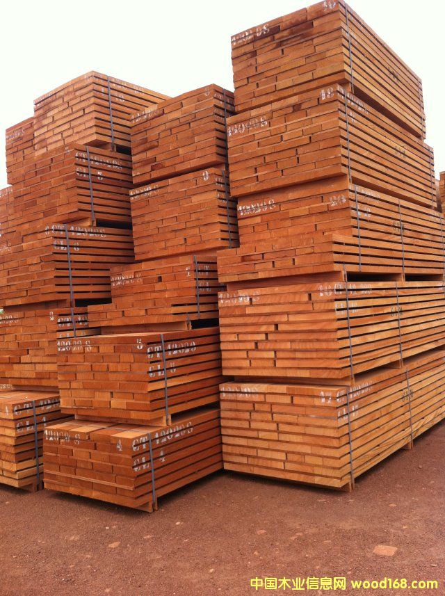 ����ɳ����