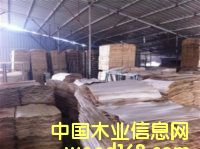 ܇�gһ�ǵ�Ԕ��(x��)��B