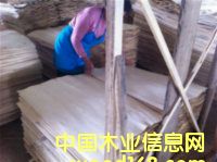 �ذ�о���Ԕ��(x��)��B