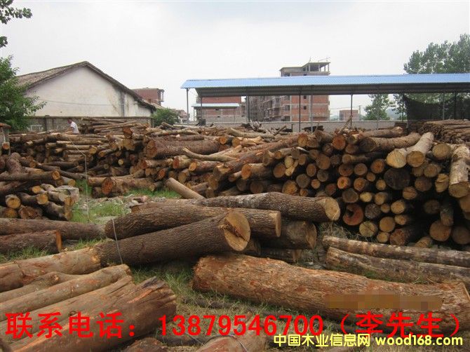 雜木的詳細(xì)介紹