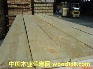 �M(j��n)��������ľ