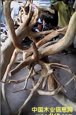 �|����̴��