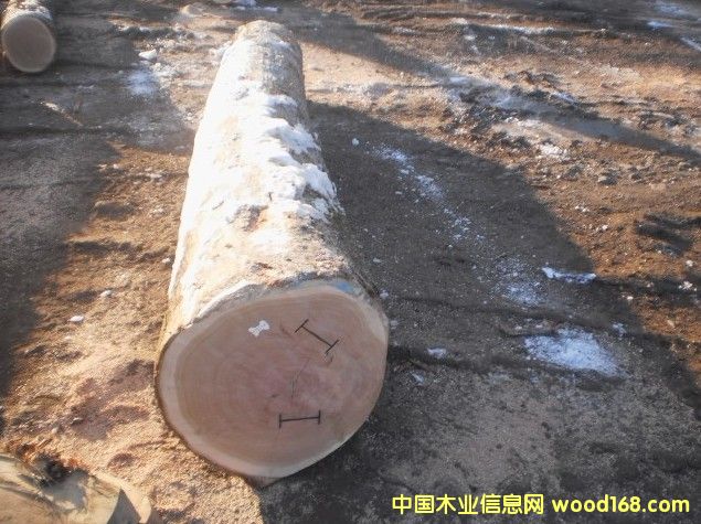 �_�R�၆����䏲�ABC��(j��)