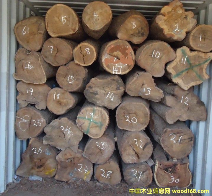 亞花梨的詳細(xì)介紹