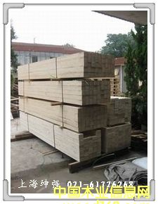 ���ڌ���ľ����Ԕ����B