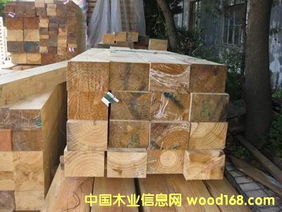 ��ľ��Ԕ����B