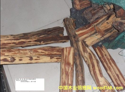 �S�����Ԕ����B