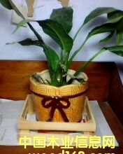 ����׼ܵ�Ԕ��(x��)��B