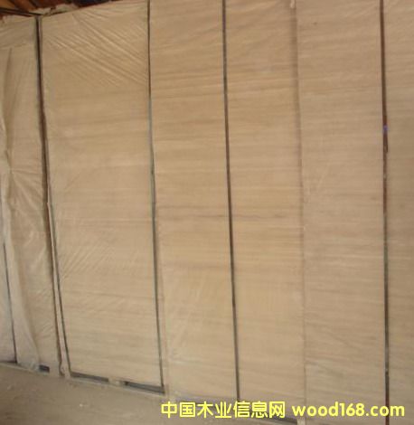 ����ľ�I(y��)��Ԕ����B