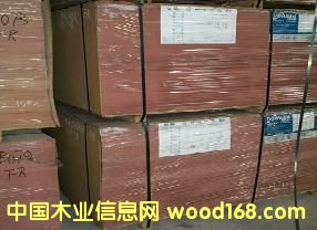 �yȼ���ܶ��w�S���Ԕ����B