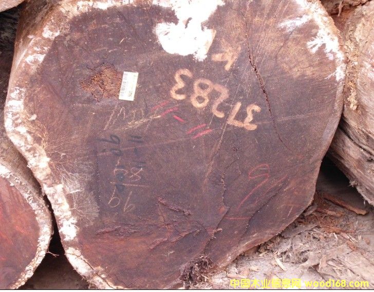 ���}�����K��������ľ����̩��ԭľ��Ԕ��(x��)��B