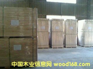 杉木集成材的詳細介紹