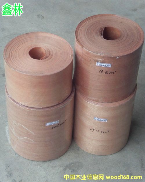 �t���ҟo����ľƤ��Ԕ����B