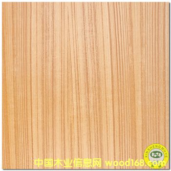 ���V��ʢ����Ȼ̩��ľֱ�y�����Ԕ��(x��)��B