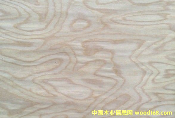 ��˨��(sh��)��TS_4��Ԕ��(x��)��B